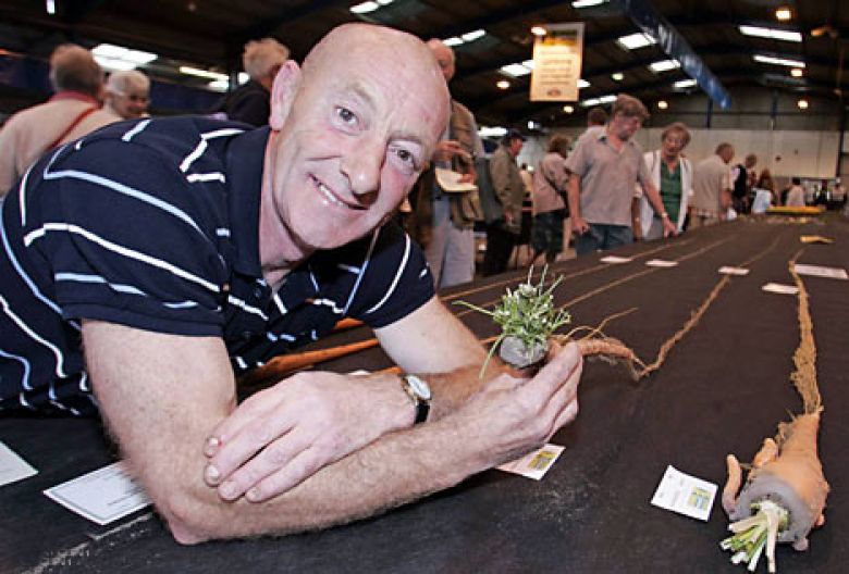 Самая длинная морковь выращена британским фермером Джо Атертоном из Ноттингемшира. Её длина 5,84 м