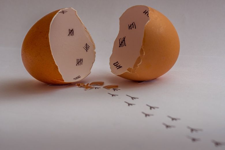 Наибольшее количество желтков когда-либо найденных в одном яйце – девять