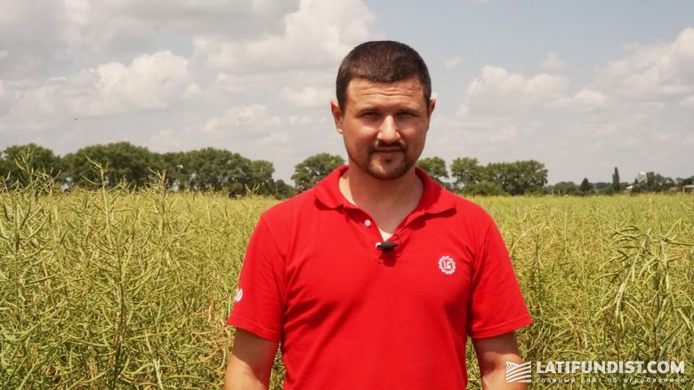 Игорь Стояновский, региональный менеджер «Лимагрейн Украина»
