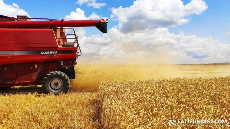 Уборка пшеницы в Полтавской области
