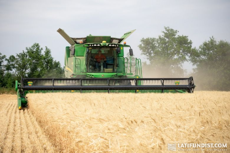 Пшеница мягких сортов занимает 90-95% всей площади земель, отведенных под культуру