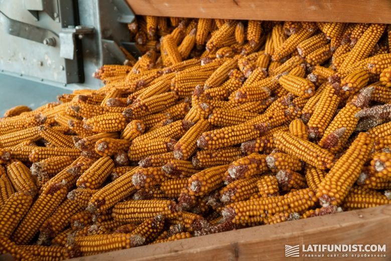 Холдинг выращивает собственные семена кукурузы и обеспечивает около 2/3 своей ежегодной потребности в семенах