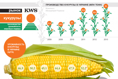 Рынок кукурузы: производство, урожайность, мировые лидеры Рынок кукурузы: производство, урожайность, мировые лидеры