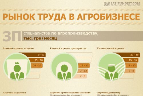 Рынок труда в агробизнесе Рынок труда в агробизнесе