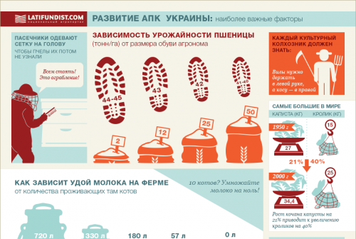 Развитие АПК Украины: самые важные факторы