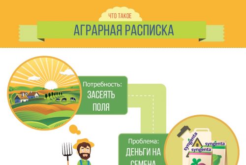 Что такое аграрная расписка? Что такое аграрная расписка?