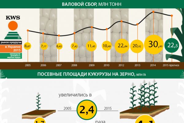 Рынок кукурузы в Украине 2015