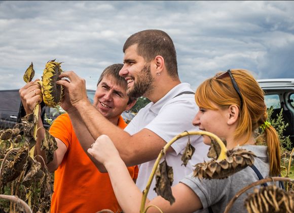 АгроЭкспедиторы в поле