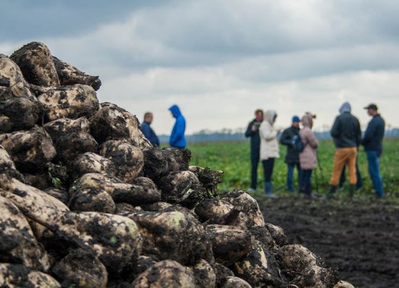 АгроЭкспедиторы в поле агрофирмы «Панчево»