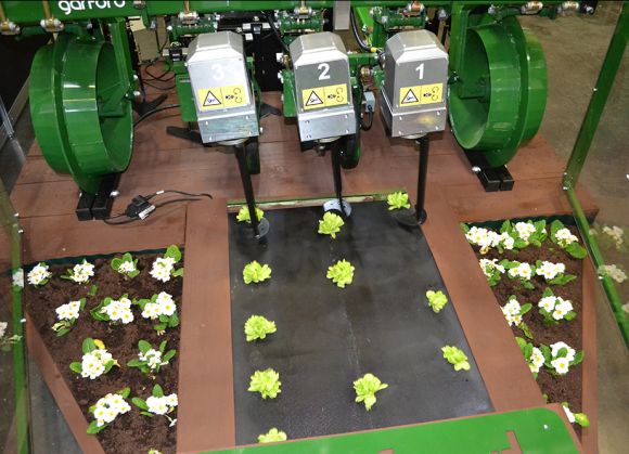 Cистема Garford Robocrop InRow