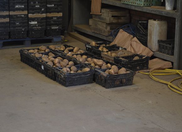 Картофелехранилище Lincolnshire Field Products