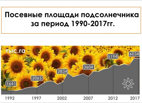 Посевные площади посевные площади подсолнечника за период 1990-2017 гг.