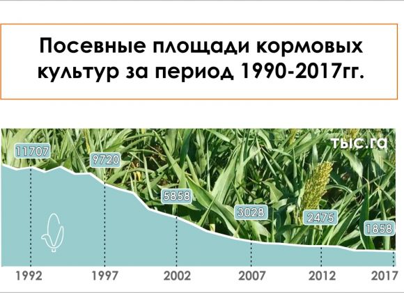 Посевные площади посевные площади кормовых культур за период 1990-2017 гг.
