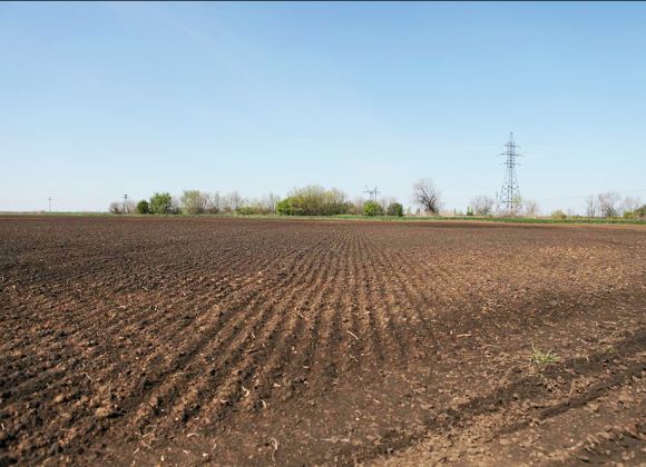 Поля агрохолдинга Agromino