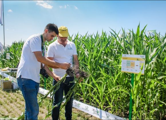 Участники International Field Days Ukraine