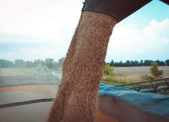 Сбор урожая ржи