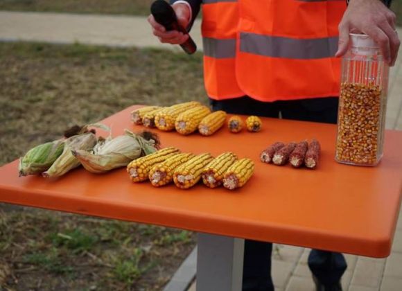 Демонстрация продукции