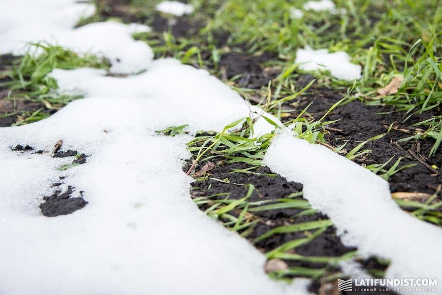 На полях Харьковской области еще встречался снег