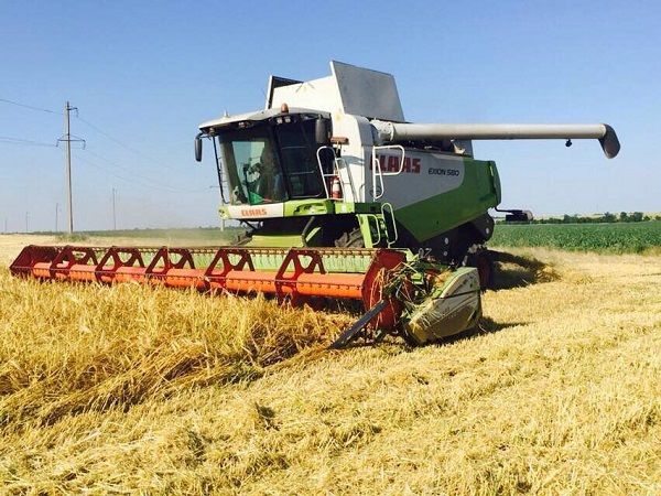 Уборочная кампания ранних зерновых культур в Одесской области