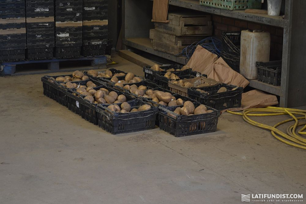Картофелехранилище Lincolnshire Field Products