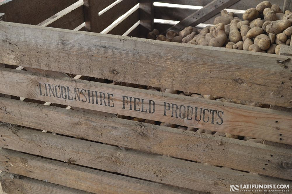 Картофелехранилище Lincolnshire Field Products