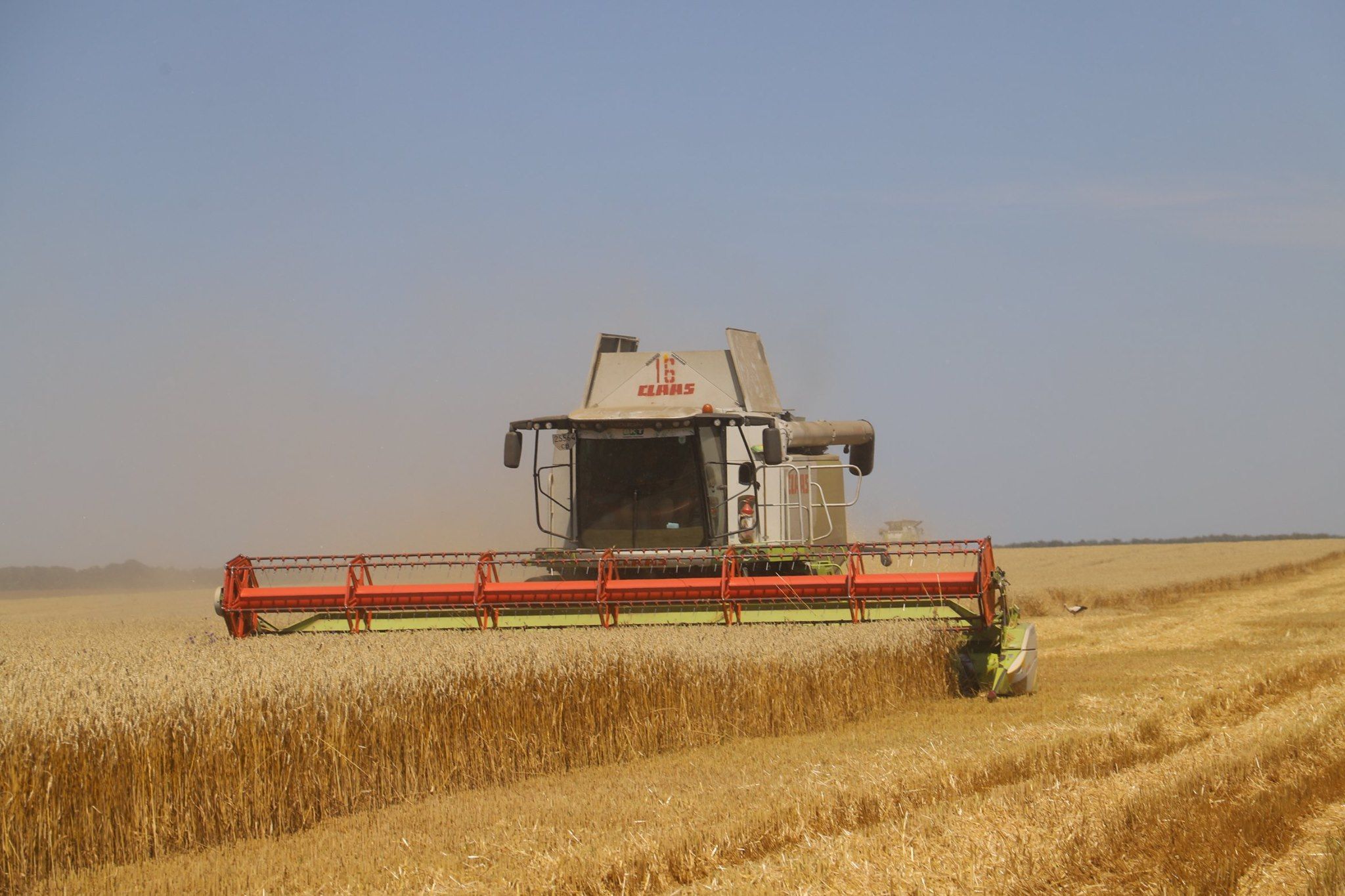 В Украине установили новый рекорд урожайности пшеницы на предприятии «Батькивщина»