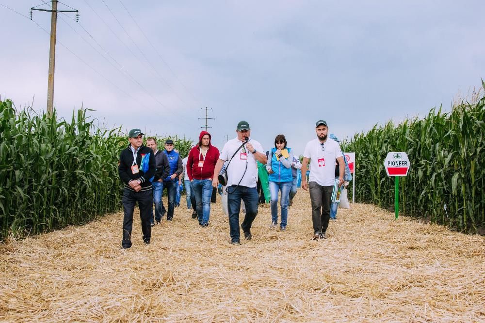 Партнеры Open Agribusiness на Дне поле в 2019 году