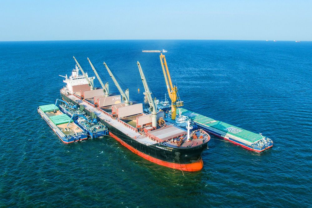 Grain transshipment from NIBULON barges at the outer roadstead of Mykolaiv Port