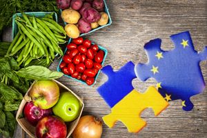 Украина усиливает торгово-экономические отношения с Германией — Микольская