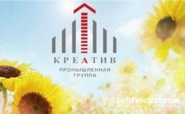 Нарастить картинку онлайн