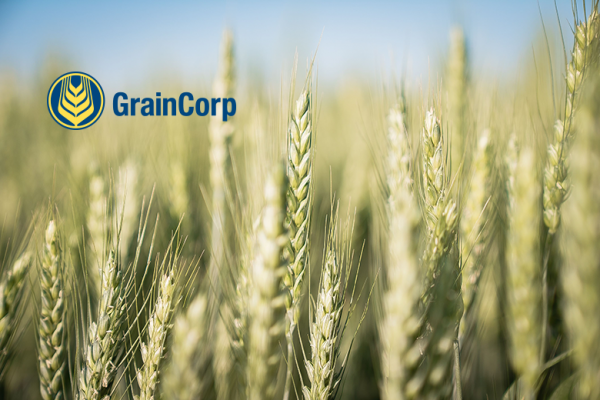 Австралийская GrainCorp открыла отделение в Украине — Latifundist.com