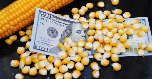 Деньги, финансы, кукуруза