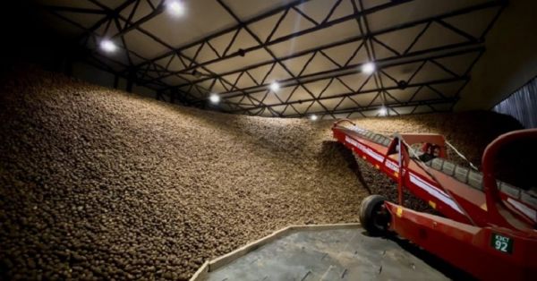 Potato storage of Continental Farmers Group (CFG) in Lviv region