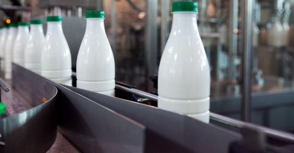 Производство молока 