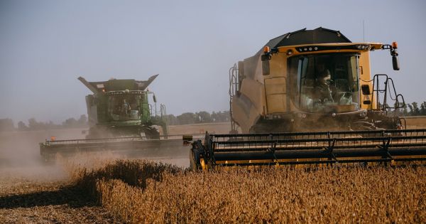 Soybean harvesting in Ukraine