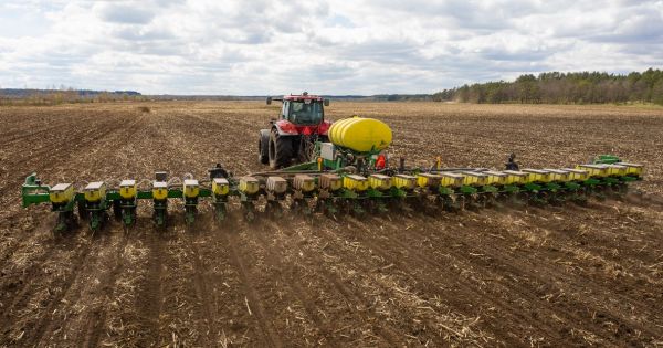 Winter crops planting in Ukraine