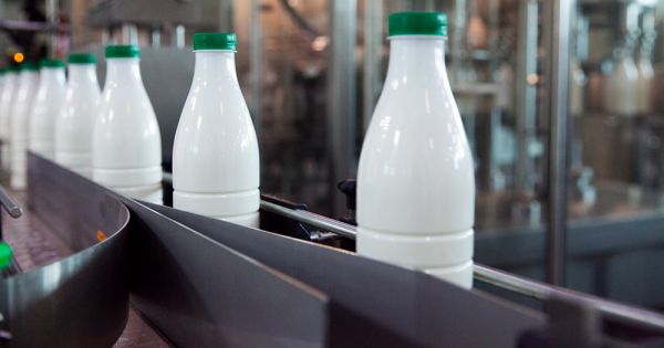 Производство молока 