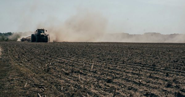 Winter crops planting in Ukraine