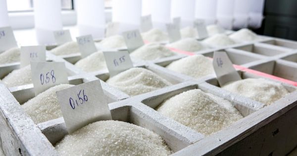 Beet sugar at a plant in Ukraine prepared for quality tests