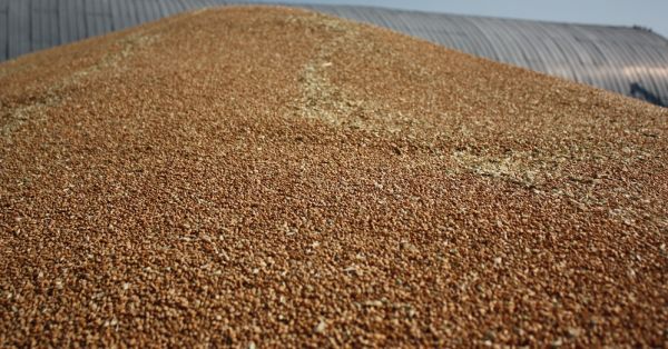 Wheat storage in Ukraine