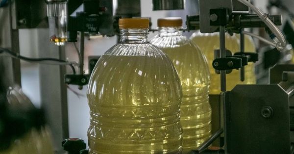 Refined sunflower oil bottling line at a crushing plant in Ukraine