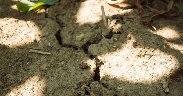 Soil drought