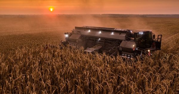 The NEXAT carrier vehicle harvesting corn