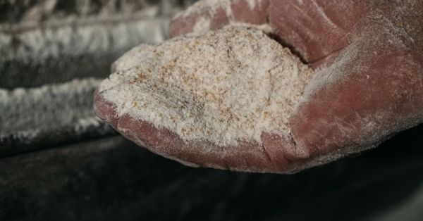 Виробництво муки, переробка пшениці