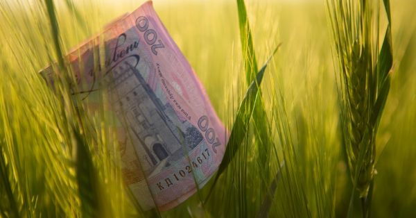 UAH 200 bill in a wheat field in Ukraine