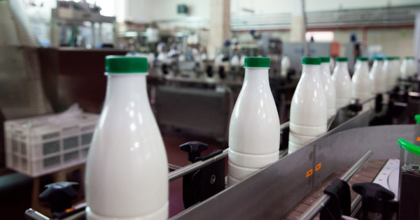 Dairy production in Ukraine