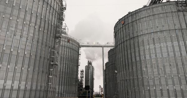 Shevchenko Beta-Agro-Invest grain elevator of B.I.G. Harvest Group in Chernihiv region