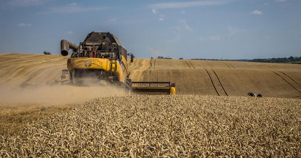 New Holland combine harvesting wheat in Ukraine