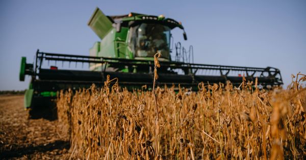 John Deere harvesting soybean