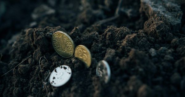 Coins in the black soil